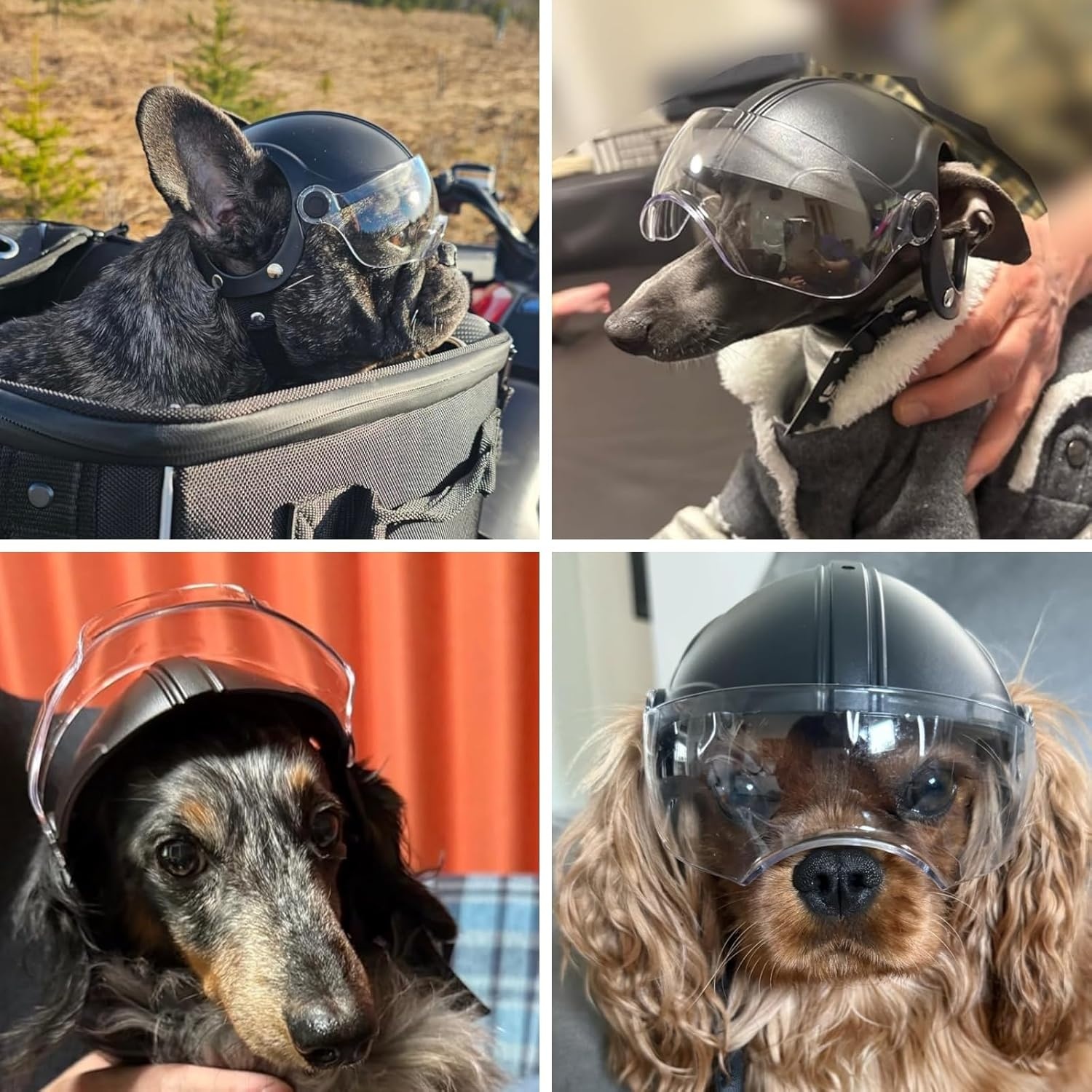 image:imageEnjoying Dog Helmet with Clear Lens and Ear Holes Pet Motorcycle Helmet Dog Hats for Small to Medium Dogs Outdoor RidingDrivingWalkingClassic Clear Lens