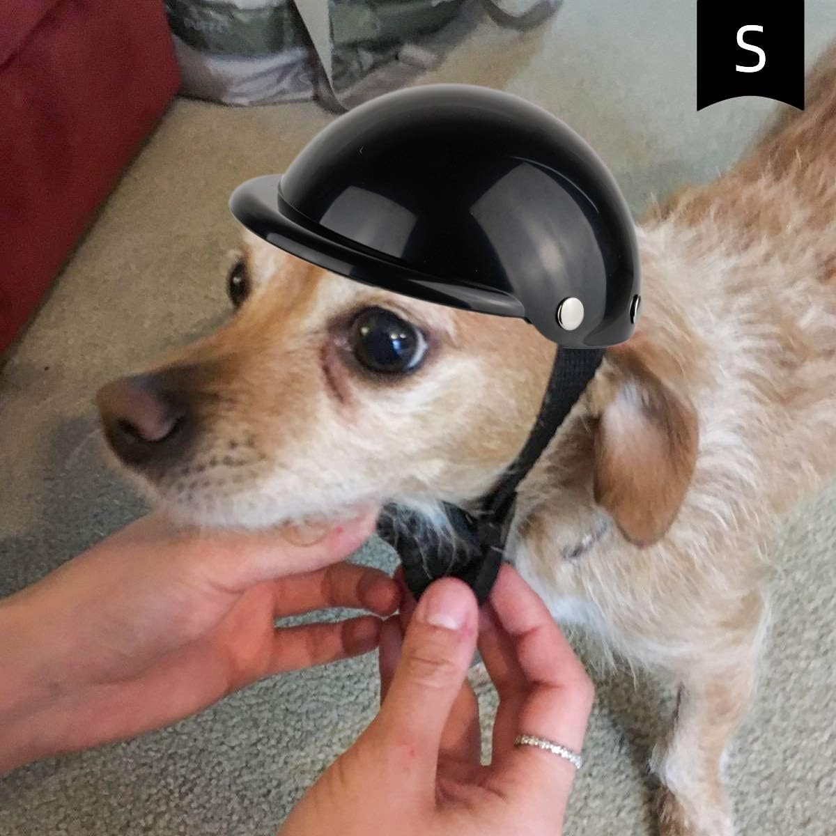 image:imageEnjoying Dog Helmets for ExtraSmall to Small Dogs Chihuahua Mixed Helmet Tiny to Small Dog Helmet Cat Hat for Outdoor Motorcycing Biking Travelling Exploring Adjustable SSmall Without Goggles