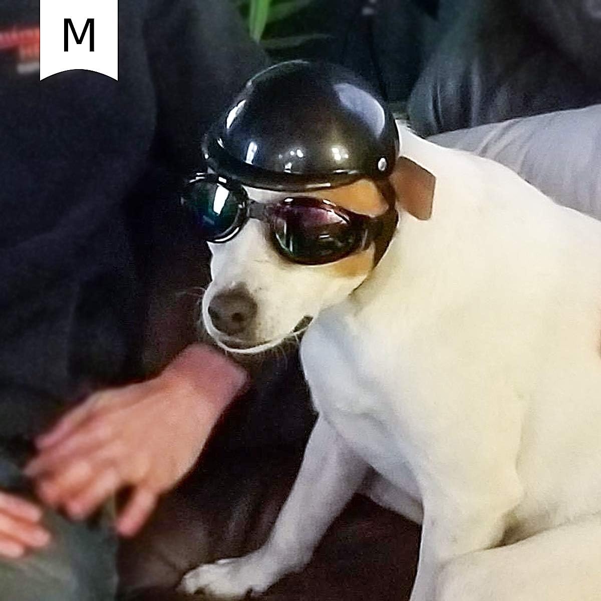 image:imageEnjoying Dog Helmets for ExtraSmall to Small Dogs Chihuahua Mixed Helmet Tiny to Small Dog Helmet Cat Hat for Outdoor Motorcycing Biking Travelling Exploring Adjustable SMedium Without Goggles
