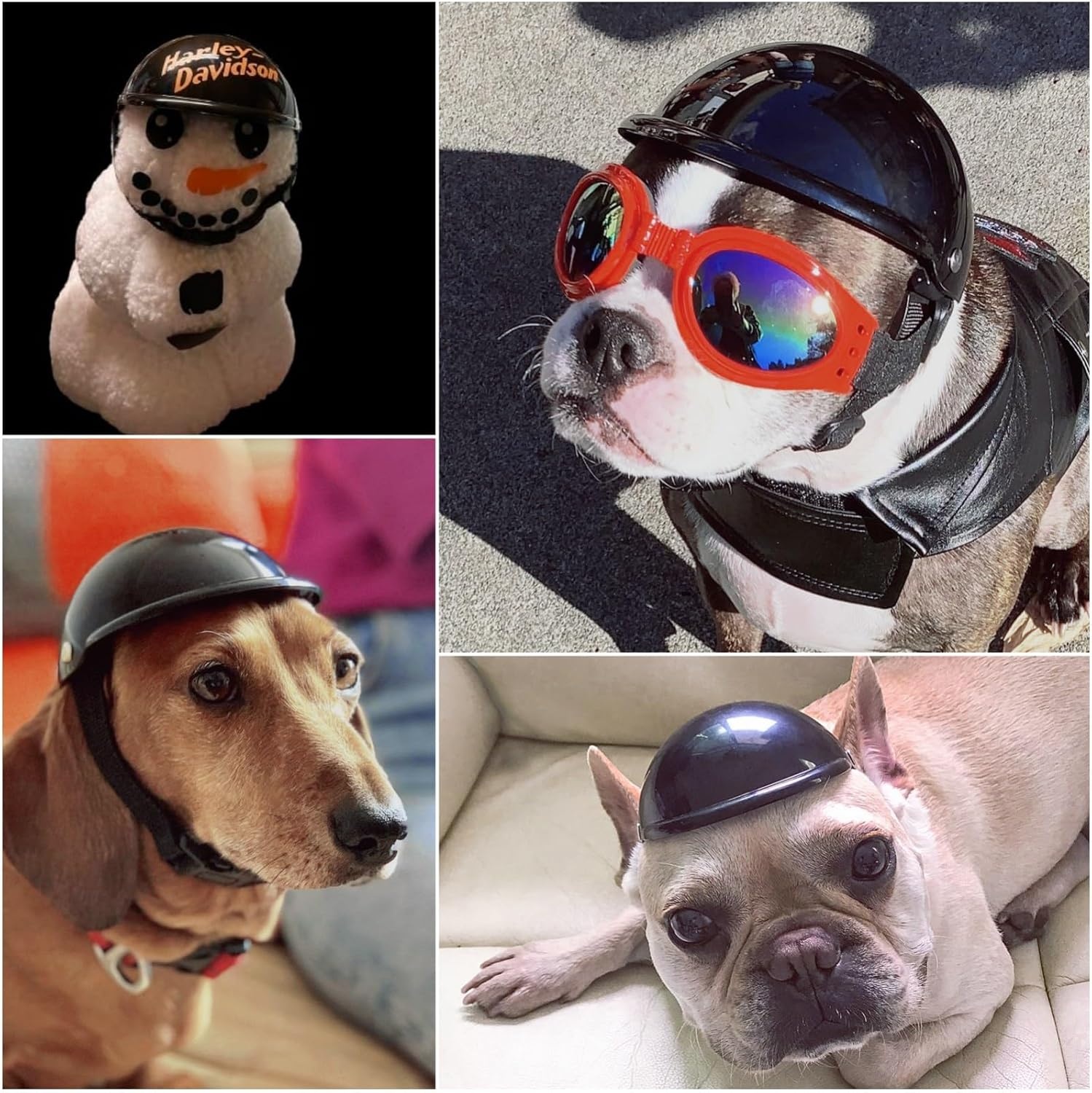 image:imageEnjoying Dog Helmets for ExtraSmall to Small Dogs Chihuahua Mixed Helmet Tiny to Small Dog Helmet Cat Hat for Outdoor Motorcycing Biking Travelling Exploring Adjustable SMedium Without Goggles