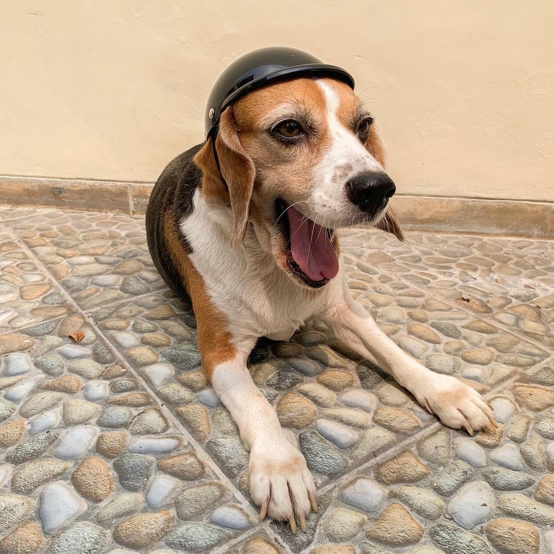 image:imageEnjoying Dog Helmets for ExtraSmall to Small Dogs Chihuahua Mixed Helmet Tiny to Small Dog Helmet Cat Hat for Outdoor Motorcycing Biking Travelling Exploring Adjustable SMedium Without Goggles