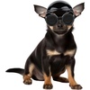 X-Small (With Goggles)