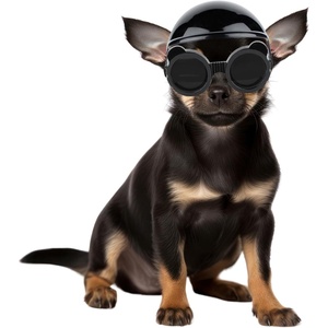 image:imageEnjoying Dog Helmets for ExtraSmall to Small Dogs Chihuahua Mixed Helmet Tiny to Small Dog Helmet Cat Hat for Outdoor Motorcycing Biking Travelling Exploring Adjustable SXSmall With Goggles