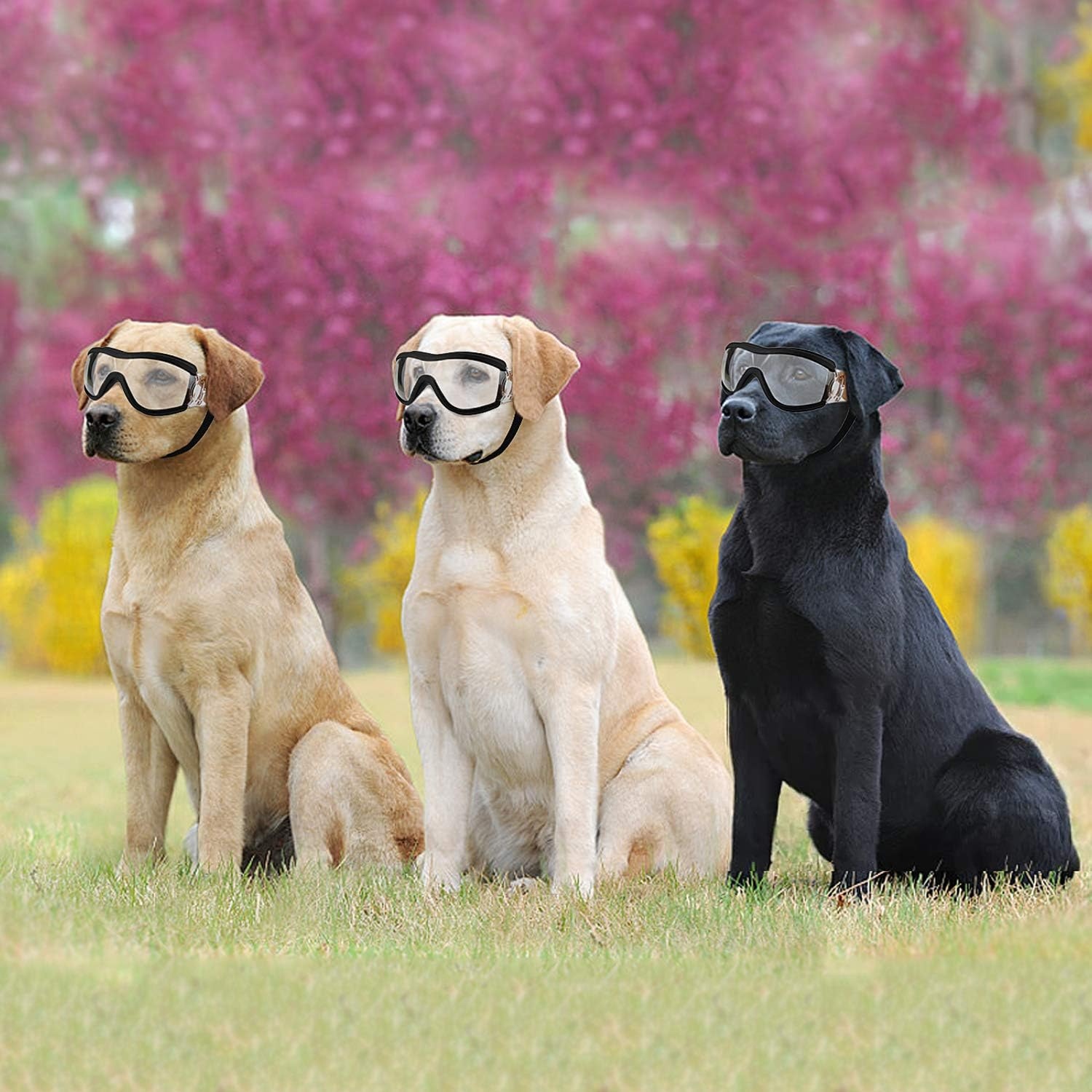 image:imageENJOYING Clear Dog Goggles Medium AntiUV Doggy Sunglasses for MediumLarge Dogs Outdoor FogProof Windproof Snowproof Dog Glasses Adjustable Easy Wear TransparentClear