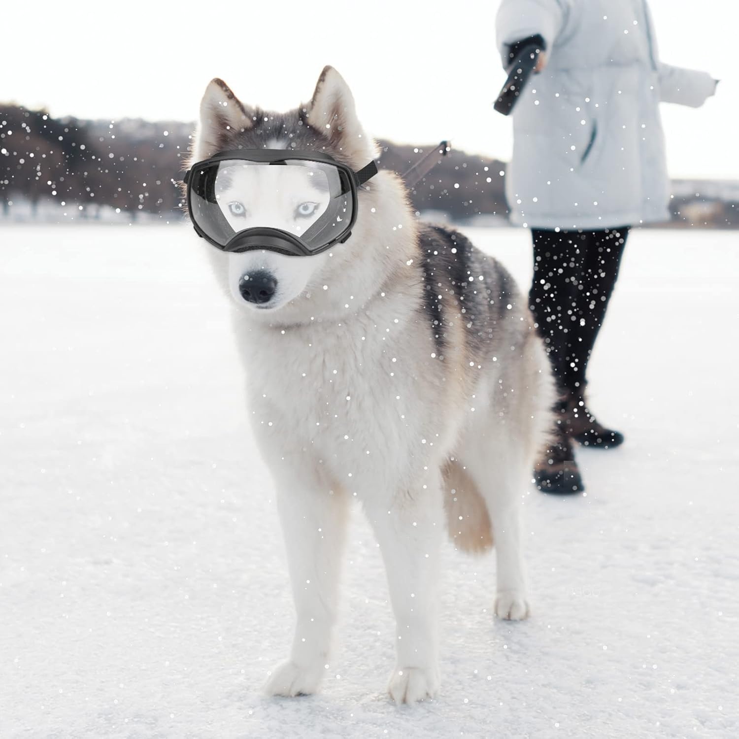 image:imageEnjoying Dog Goggles Large Breed with Replaceable Lenses SilverBlack Interchangeable Sunglasses for Dogs Medium Large Breed Summer UV Dog Eye Protection Winter Pet Snow Goggles GreenClear