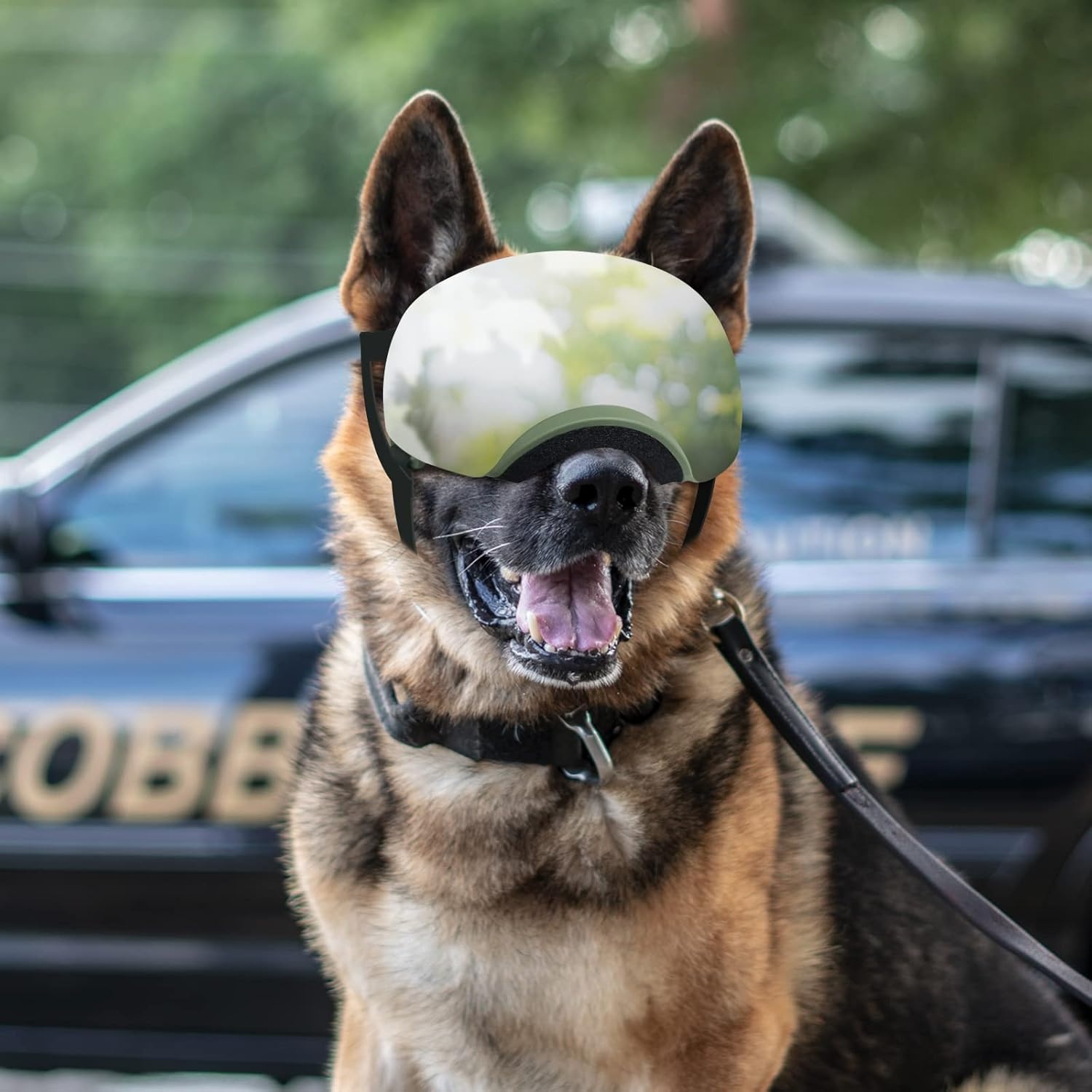 image:imageEnjoying Dog Goggles Large Breed with Replaceable Lenses SilverBlack Interchangeable Sunglasses for Dogs Medium Large Breed Summer UV Dog Eye Protection Winter Pet Snow Goggles Green2 Lens