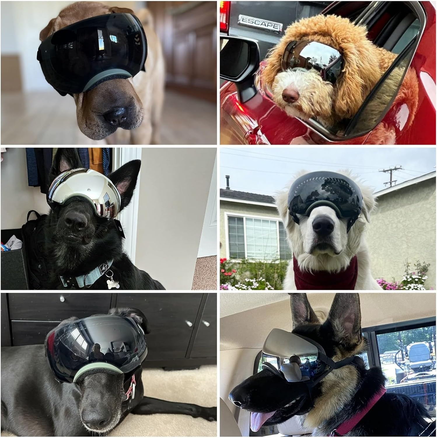 image:imageEnjoying Dog Goggles Large Breed with Replaceable Lenses SilverBlack Interchangeable Sunglasses for Dogs Medium Large Breed Summer UV Dog Eye Protection Winter Pet Snow Goggles Green2 Lens