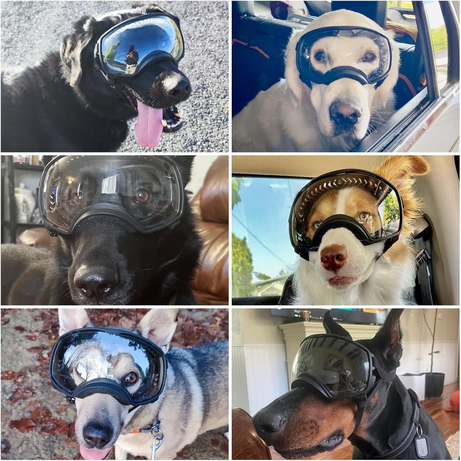 image:imageEnjoying Dog Goggles Large Breed with Replaceable Lenses SilverBlack Interchangeable Sunglasses for Dogs Medium Large Breed Summer UV Dog Eye Protection Winter Pet Snow Goggles GreenClear