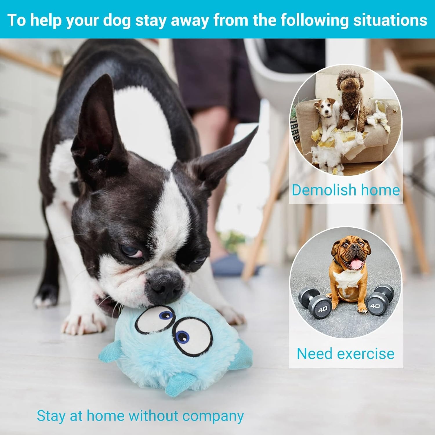 image:imageEnjoying Dog Interactive Toys 2in1 Dog Plush Squeaky Small Balls Pet Toys Halloween Xmas for Small Medium Large Dogs Blue MonsterBlue
