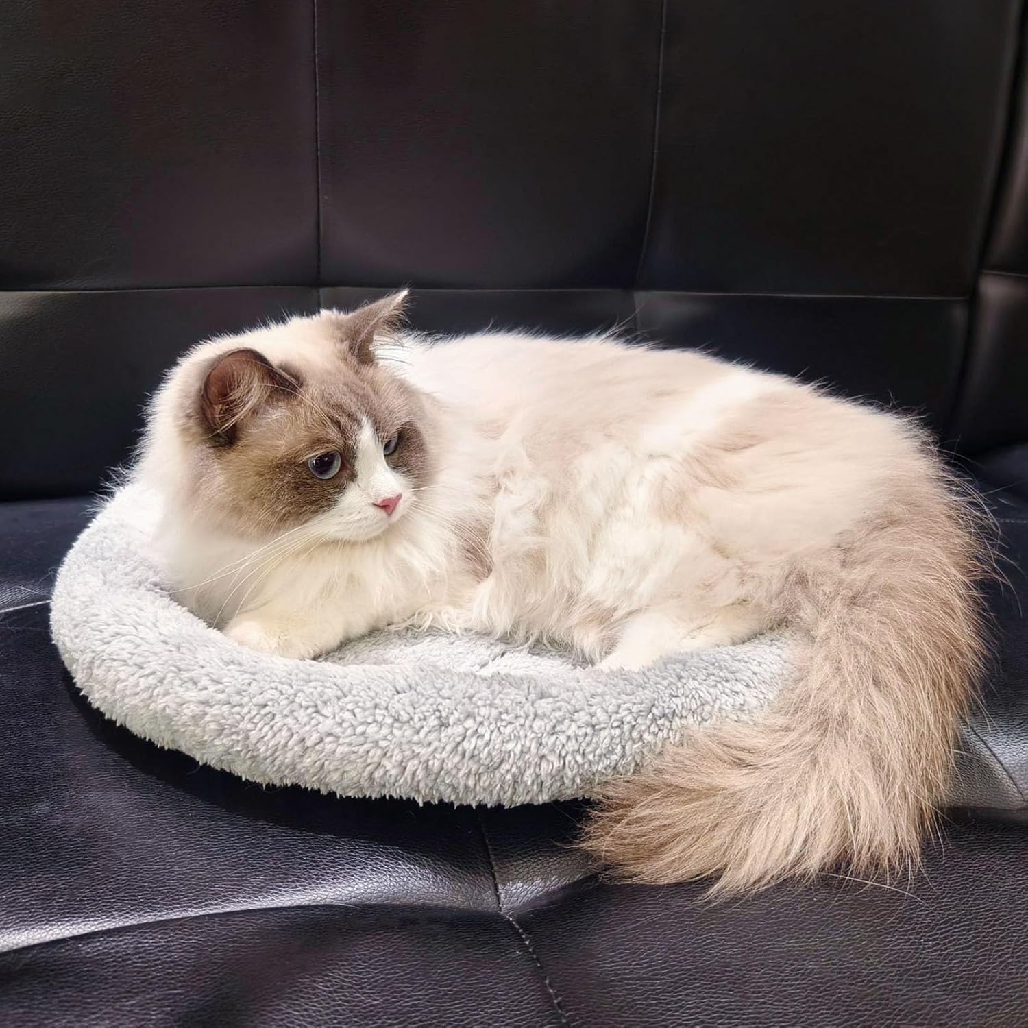 image:imageEnjoying Plush Cat Bed Mat Diameter 195 Round Pad with Pillow Around for Cats Dogs RelyingCurling Sleep Warm Dog Cushion for Crates Antiskid Bottom Large GrayMediumRound
