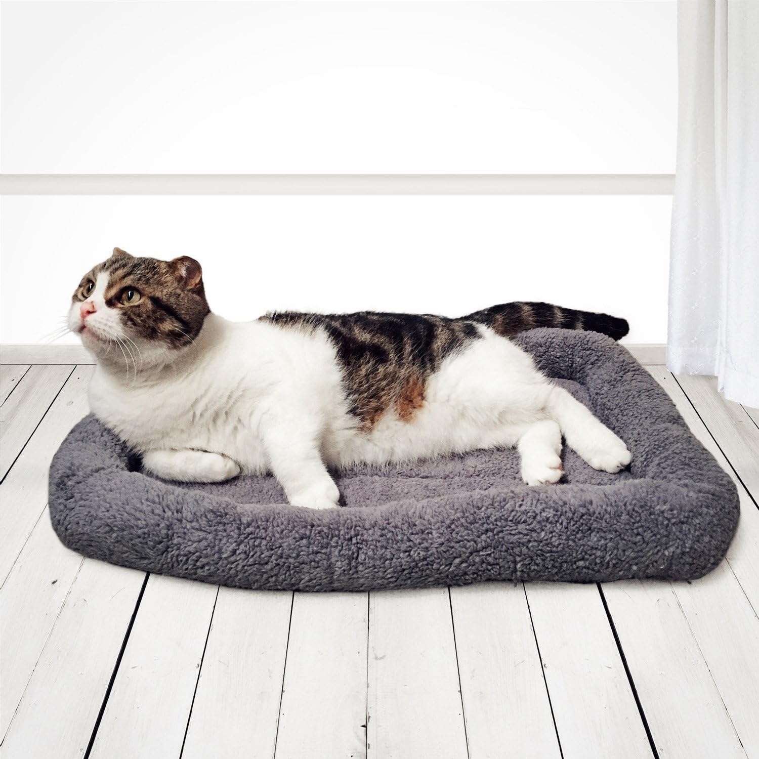 image:imageEnjoying Plush Cat Bed Mat Diameter 195 Round Pad with Pillow Around for Cats Dogs RelyingCurling Sleep Warm Dog Cushion for Crates Antiskid Bottom Large GrayMediumRectangular