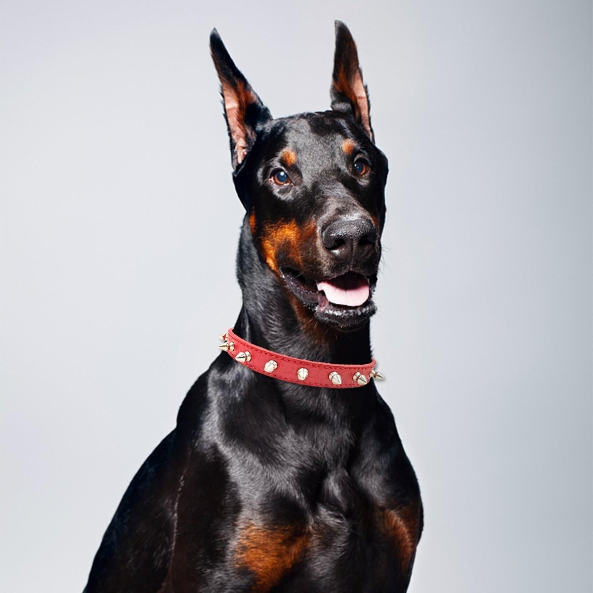 image:imageEnjoying Spike Cat Collar Spiked Dog Collar for ExtraSmall to Small Dogs AntiBite Studded Protective Faux Leather Spiky Collar with Metal Rings for Hold Pet TagsLeash Adjustable Red XSRed