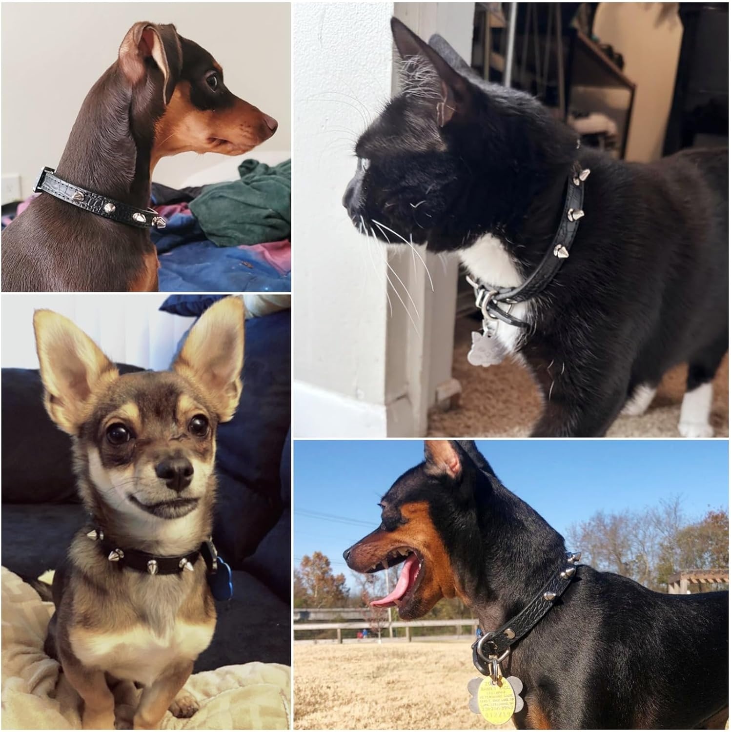 image:imageEnjoying Spike Cat Collar Spiked Dog Collar for ExtraSmall to Small Dogs AntiBite Studded Protective Faux Leather Spiky Collar with Metal Rings for Hold Pet TagsLeash Adjustable Red XSBlack