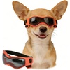 Cool Orange