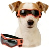 Stylish Orange