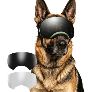 image:imageEnjoying Dog Goggles Large Breed with Replaceable Lenses SilverBlack Interchangeable Sunglasses for Dogs Medium Large Breed Summer UV Dog Eye Protection Winter Pet Snow Goggles Green2 Lens