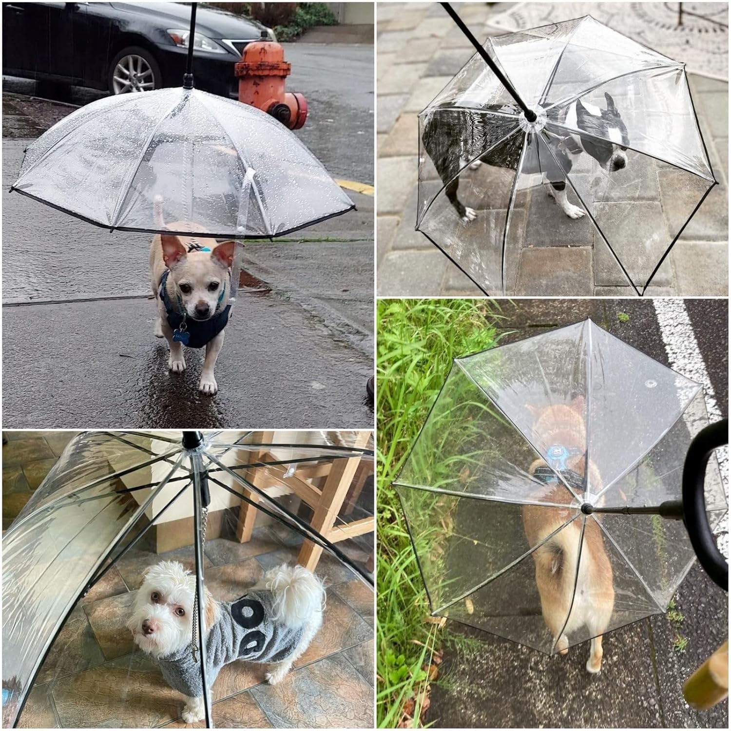 image:imageENJOYING Small Dog Umbrella Clear Dog Umbrella Leash for Small Dogs Keeps Dogs Dry Walking Rain Doggie Rain Umbrella with Adjustable Leash SelfAssemblyClear B