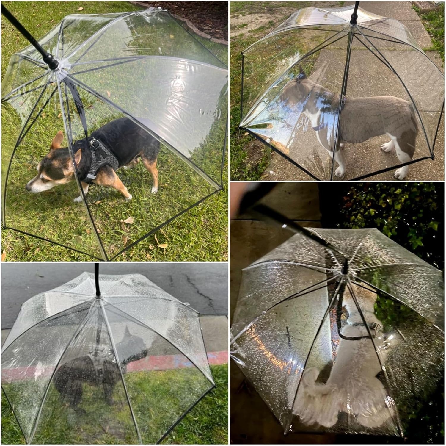 image:imageENJOYING Small Dog Umbrella Clear Dog Umbrella Leash for Small Dogs Keeps Dogs Dry Walking Rain Doggie Rain Umbrella with Adjustable Leash SelfAssemblyClear A