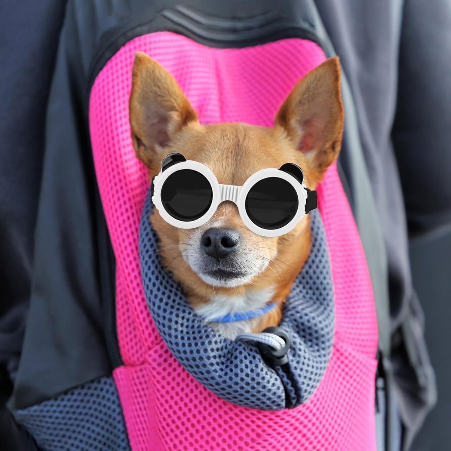 image:imageEnjoying Dog Goggles ExtraSmall to Small Breeds Dog Sunglasses UV Protection Driving Eye Protection for Little Dogs Breathable Windproof Dustproof AntiFog Adjustable Straps Panda WhitePanda White