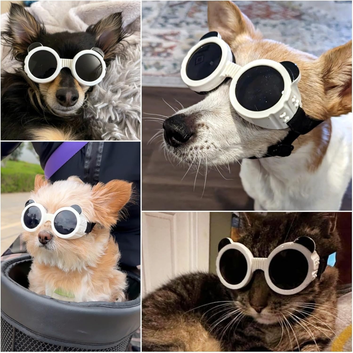 image:imageEnjoying Dog Goggles ExtraSmall to Small Breeds Dog Sunglasses UV Protection Driving Eye Protection for Little Dogs Breathable Windproof Dustproof AntiFog Adjustable Straps Panda WhitePanda White