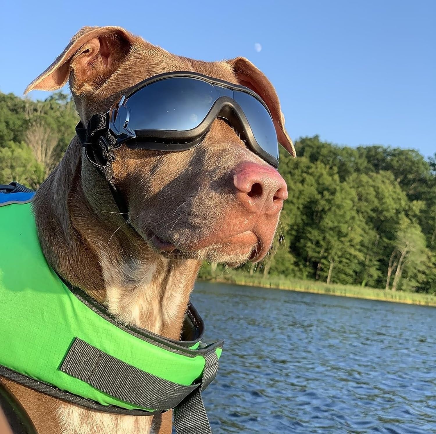 image:imageEnjoying Dog Goggles ExtraSmall to Small Breeds Dog Sunglasses UV Protection Driving Eye Protection for Little Dogs Breathable Windproof Dustproof AntiFog Adjustable Straps Panda WhiteJet Black