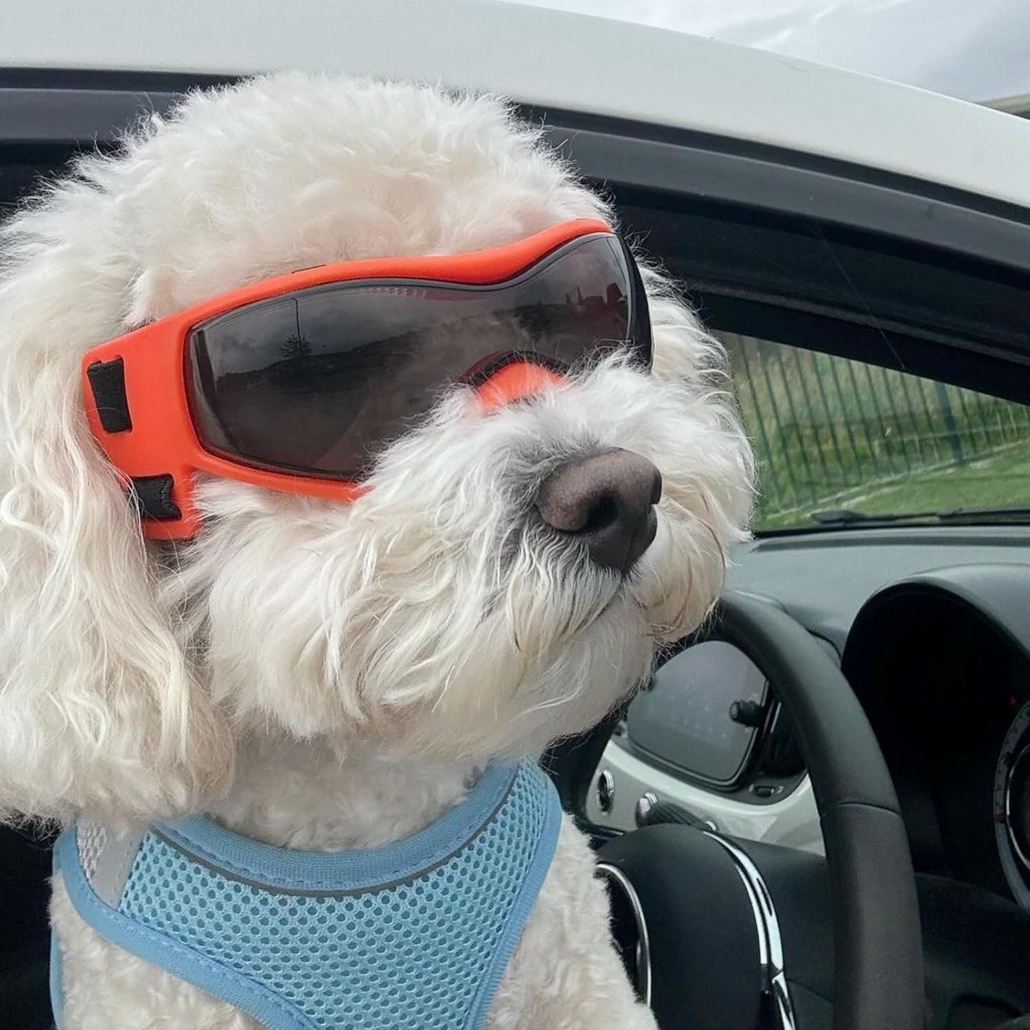 image:imageEnjoying Dog Goggles ExtraSmall to Small Breeds Dog Sunglasses UV Protection Driving Eye Protection for Little Dogs Breathable Windproof Dustproof AntiFog Adjustable Straps Panda WhiteStylish Orange