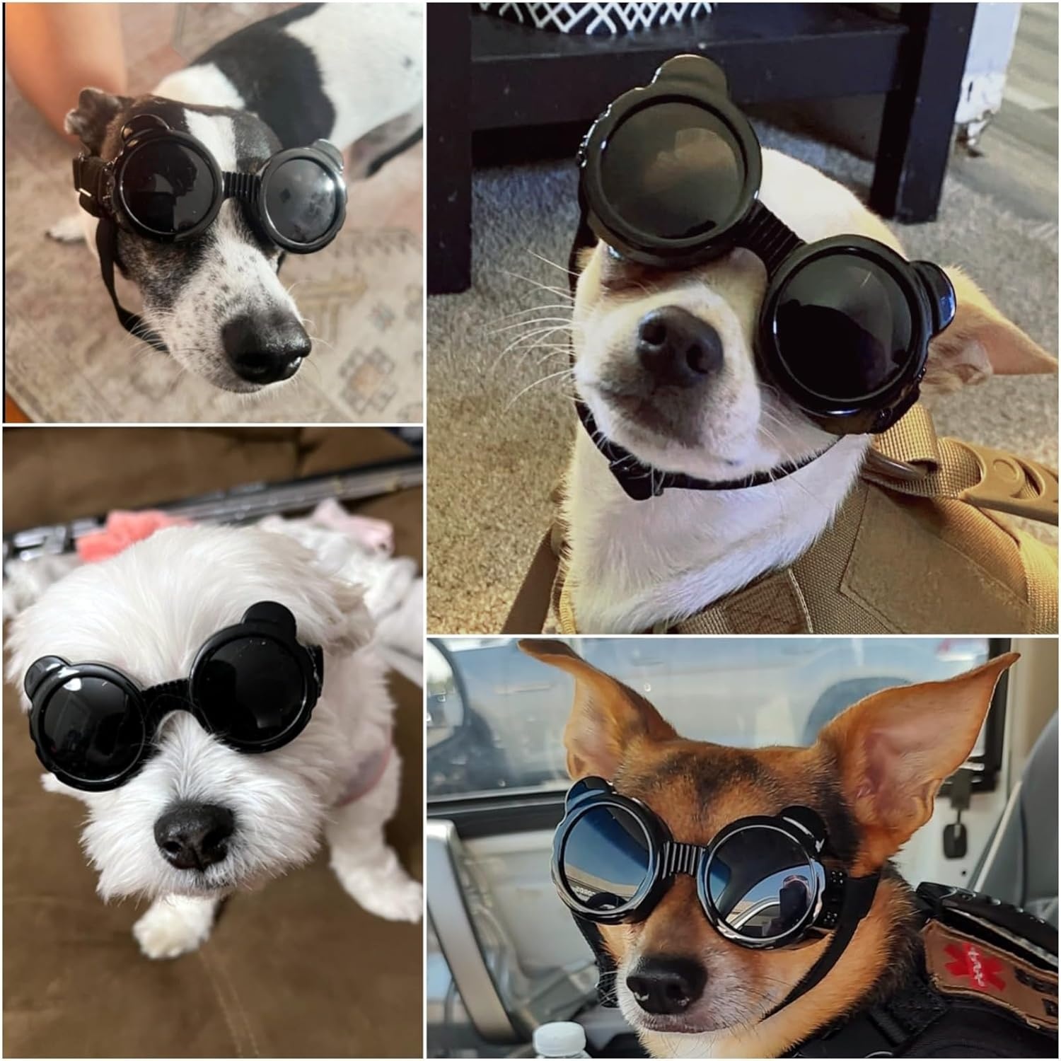 image:imageEnjoying Dog Goggles ExtraSmall to Small Breeds Dog Sunglasses UV Protection Driving Eye Protection for Little Dogs Breathable Windproof Dustproof AntiFog Adjustable Straps Panda WhitePanda Black