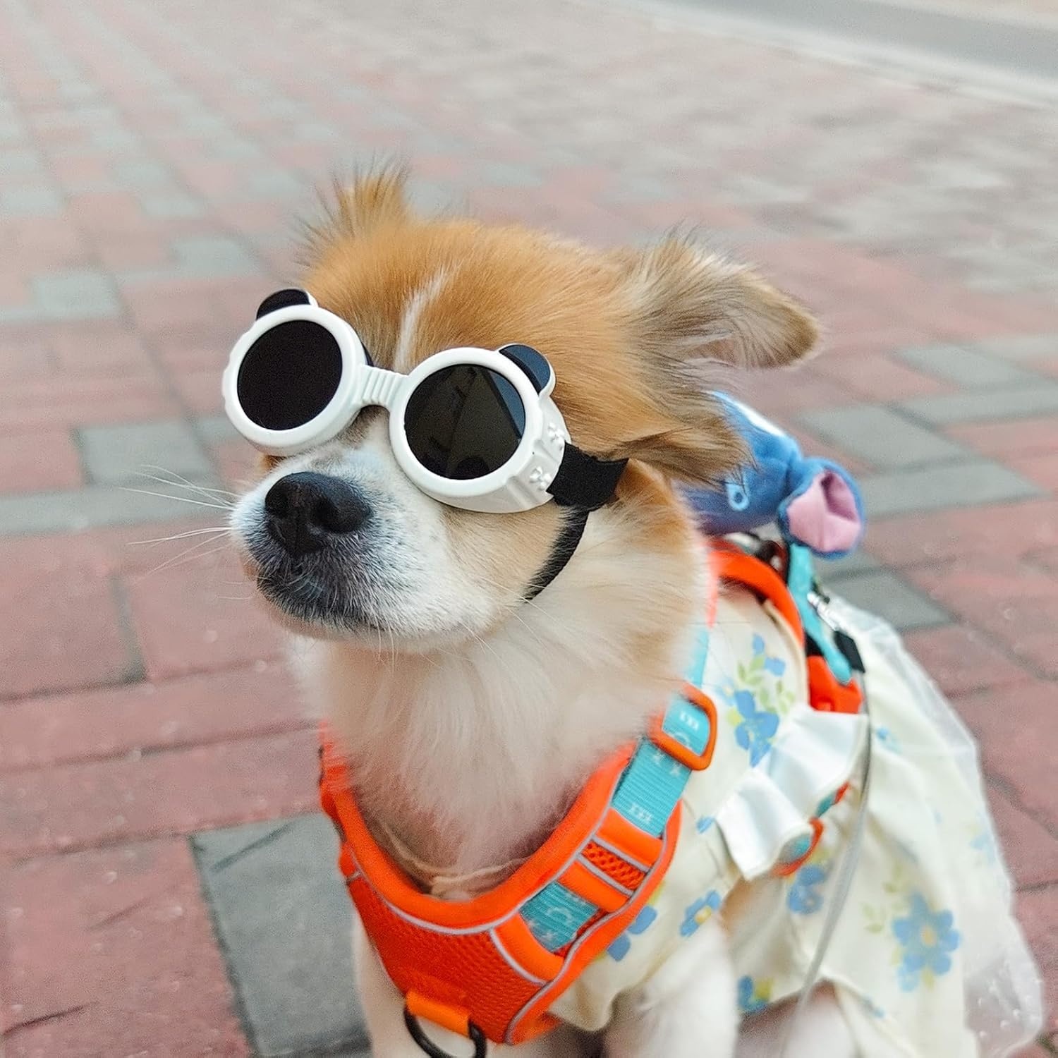 image:imageEnjoying Dog Goggles ExtraSmall to Small Breeds Dog Sunglasses UV Protection Driving Eye Protection for Little Dogs Breathable Windproof Dustproof AntiFog Adjustable Straps Panda WhitePanda White