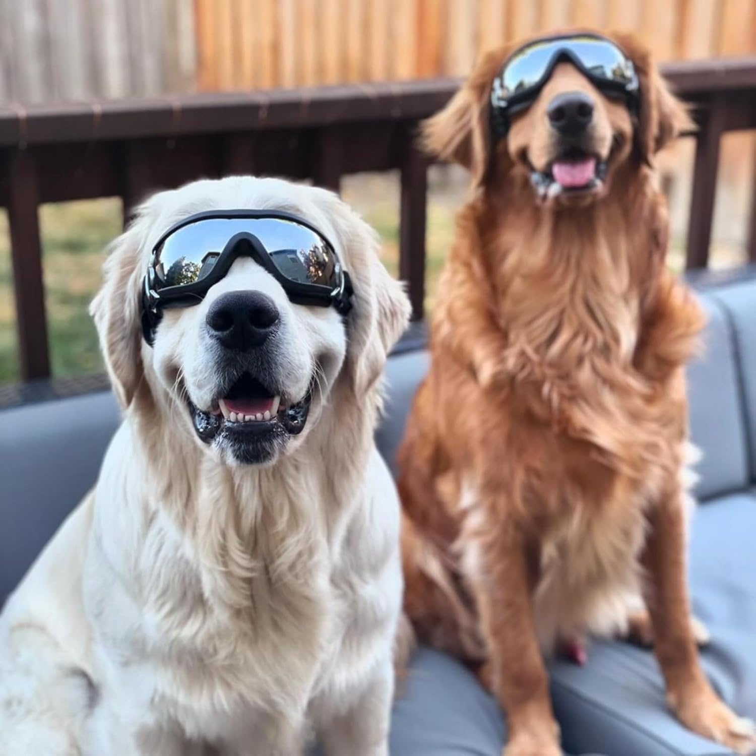 image:imageEnjoying Dog Goggles ExtraSmall to Small Breeds Dog Sunglasses UV Protection Driving Eye Protection for Little Dogs Breathable Windproof Dustproof AntiFog Adjustable Straps Panda WhiteJet Black