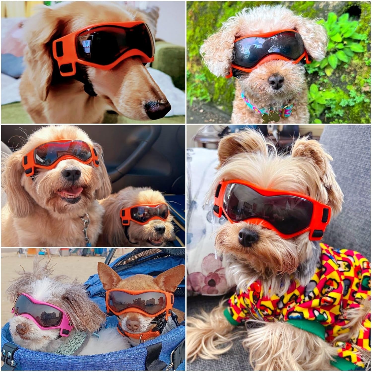 image:imageEnjoying Dog Goggles ExtraSmall to Small Breeds Dog Sunglasses UV Protection Driving Eye Protection for Little Dogs Breathable Windproof Dustproof AntiFog Adjustable Straps Panda WhiteCool Orange
