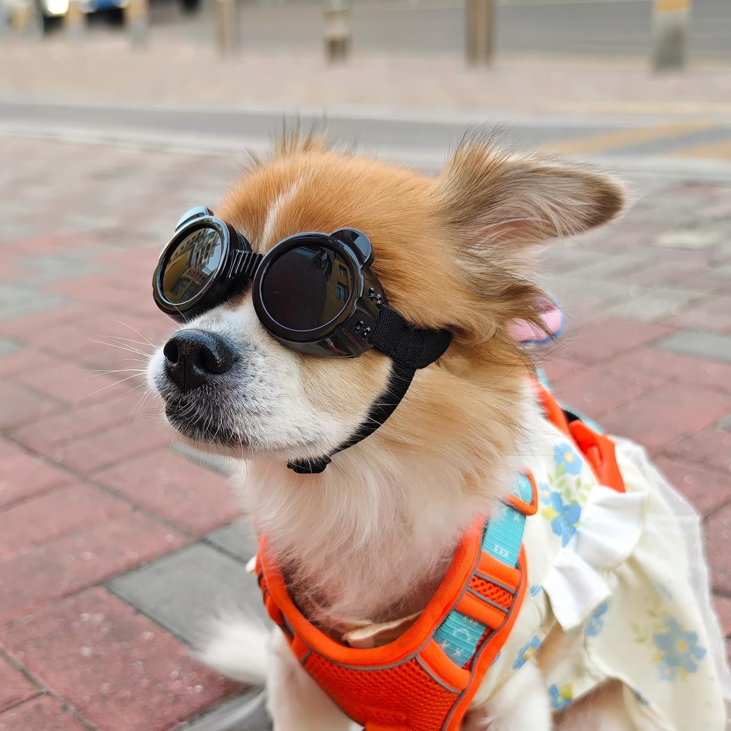 image:imageEnjoying Dog Goggles ExtraSmall to Small Breeds Dog Sunglasses UV Protection Driving Eye Protection for Little Dogs Breathable Windproof Dustproof AntiFog Adjustable Straps Panda WhitePanda Black