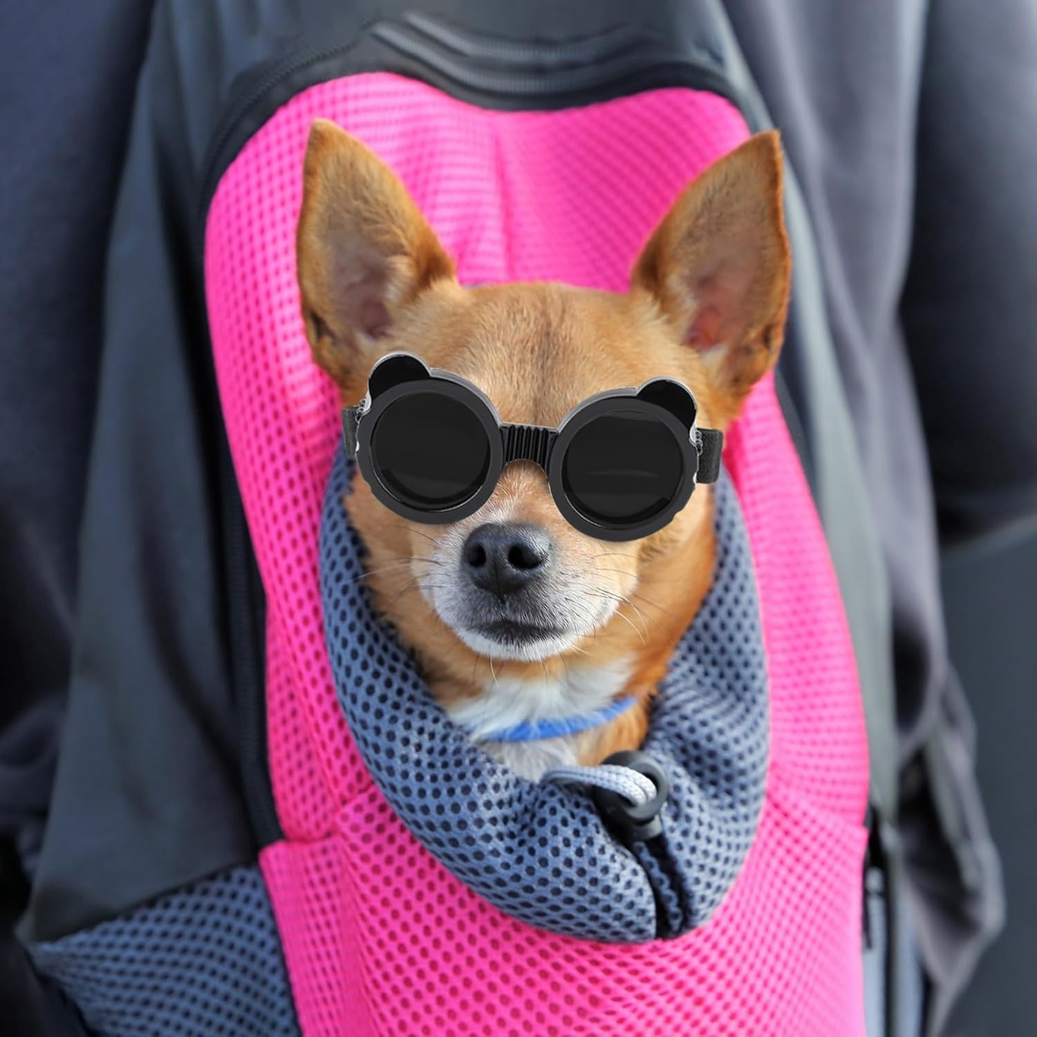 image:imageEnjoying Dog Goggles ExtraSmall to Small Breeds Dog Sunglasses UV Protection Driving Eye Protection for Little Dogs Breathable Windproof Dustproof AntiFog Adjustable Straps Panda WhitePanda Black