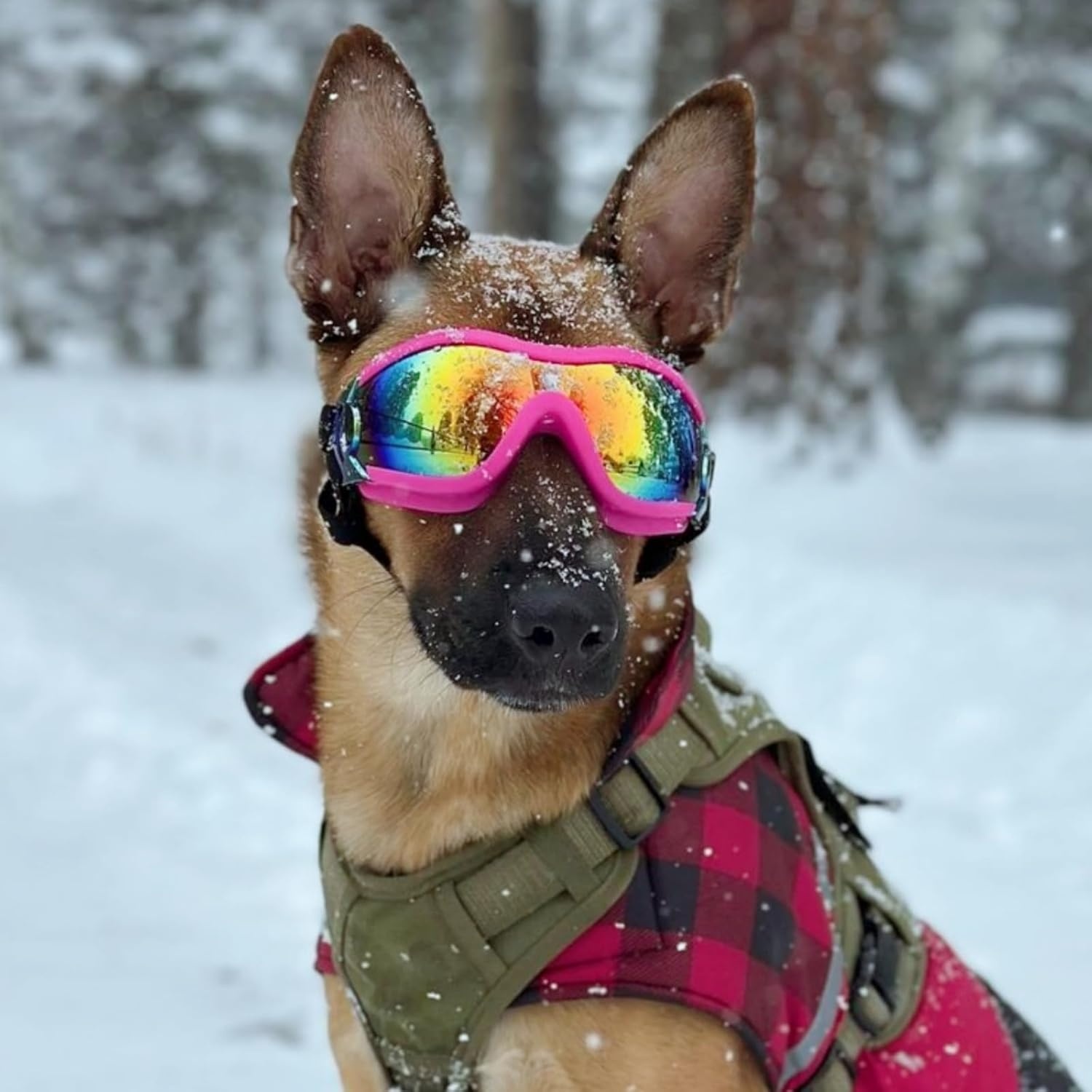 image:imageEnjoying Dog Goggles ExtraSmall to Small Breeds Dog Sunglasses UV Protection Driving Eye Protection for Little Dogs Breathable Windproof Dustproof AntiFog Adjustable Straps Panda WhiteNeon Pink