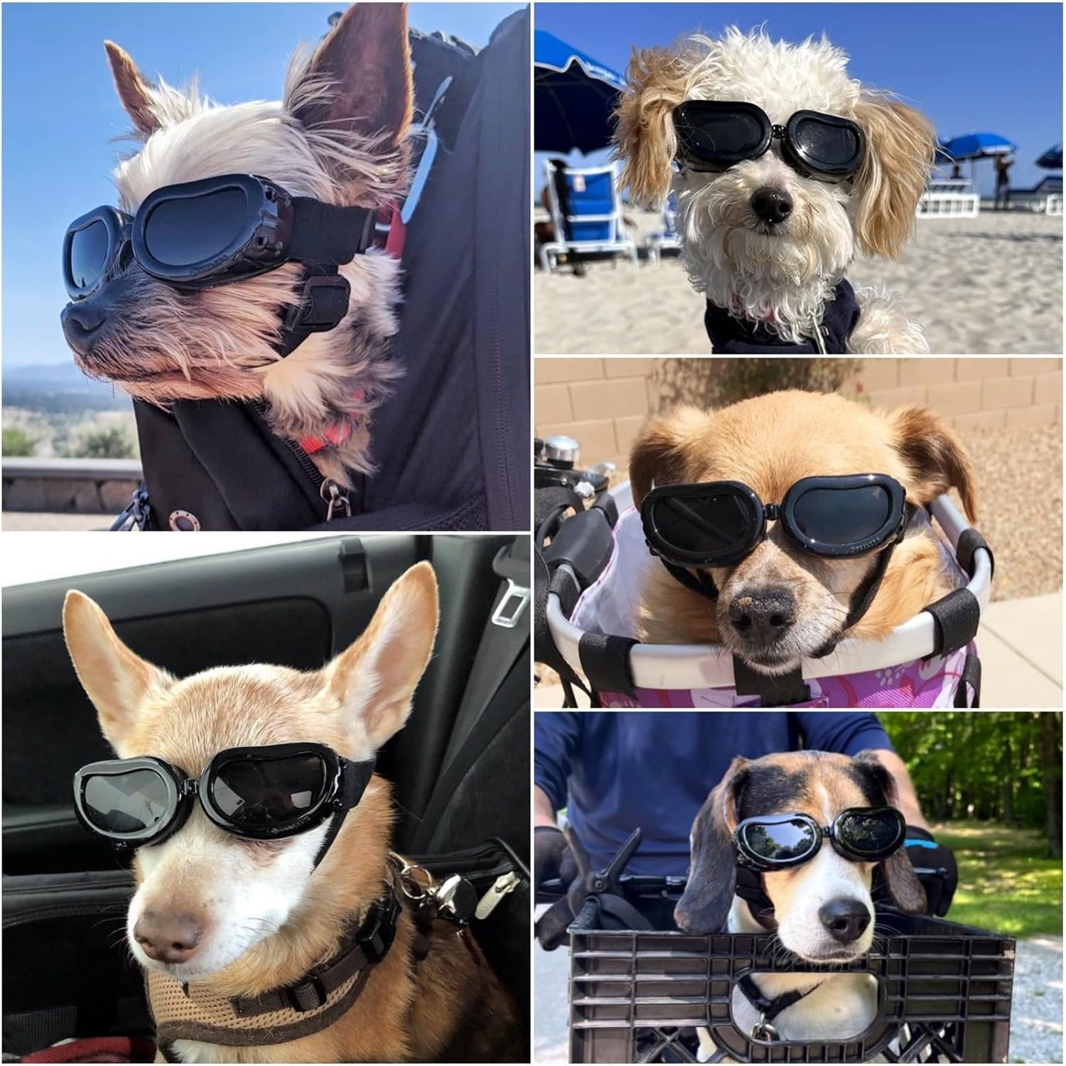 image:imageEnjoying Dog Goggles ExtraSmall to Small Breeds Dog Sunglasses UV Protection Driving Eye Protection for Little Dogs Breathable Windproof Dustproof AntiFog Adjustable Straps Panda WhiteClassic Black