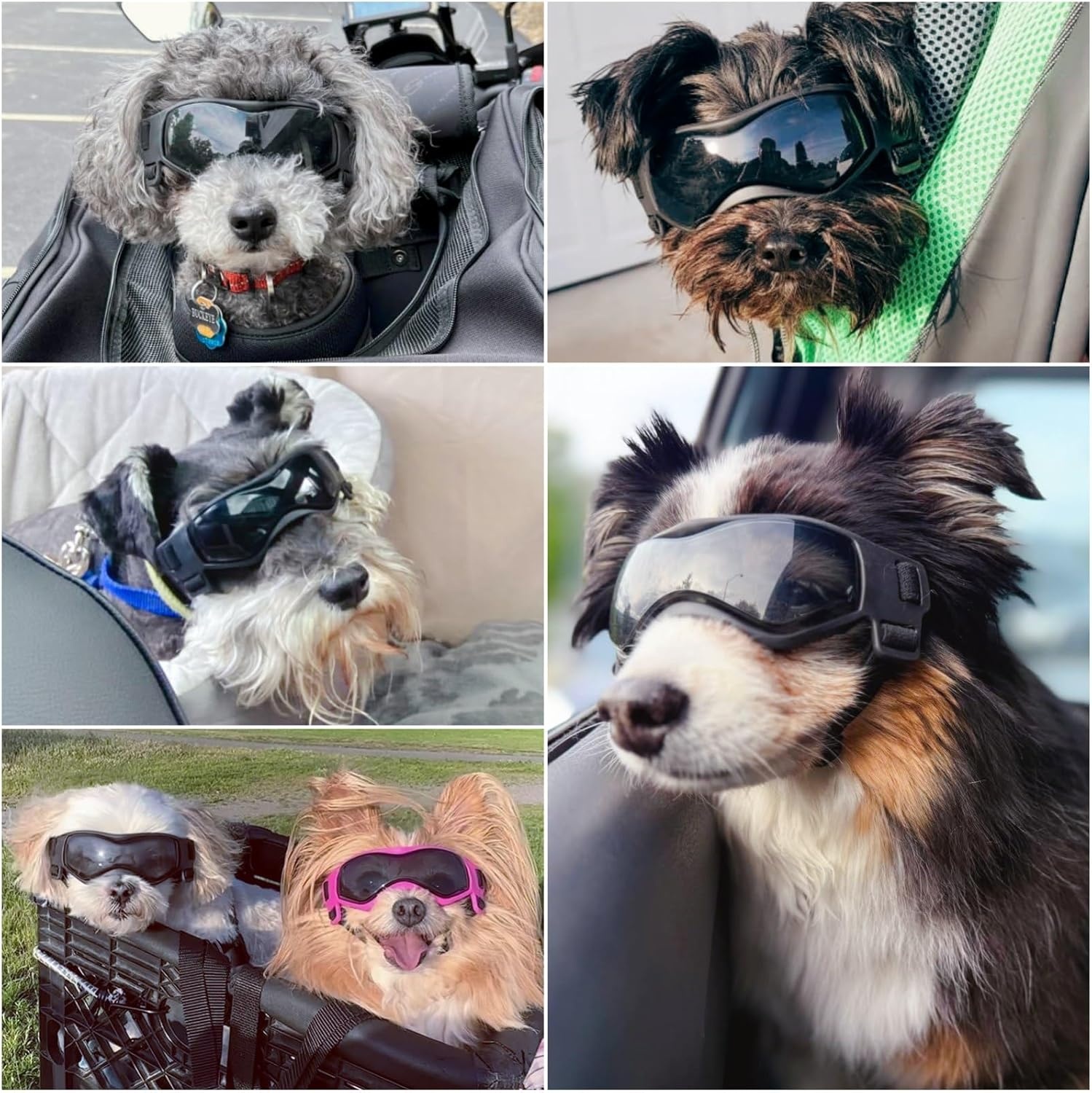 image:imageEnjoying Dog Goggles ExtraSmall to Small Breeds Dog Sunglasses UV Protection Driving Eye Protection for Little Dogs Breathable Windproof Dustproof AntiFog Adjustable Straps Panda WhiteCool Black