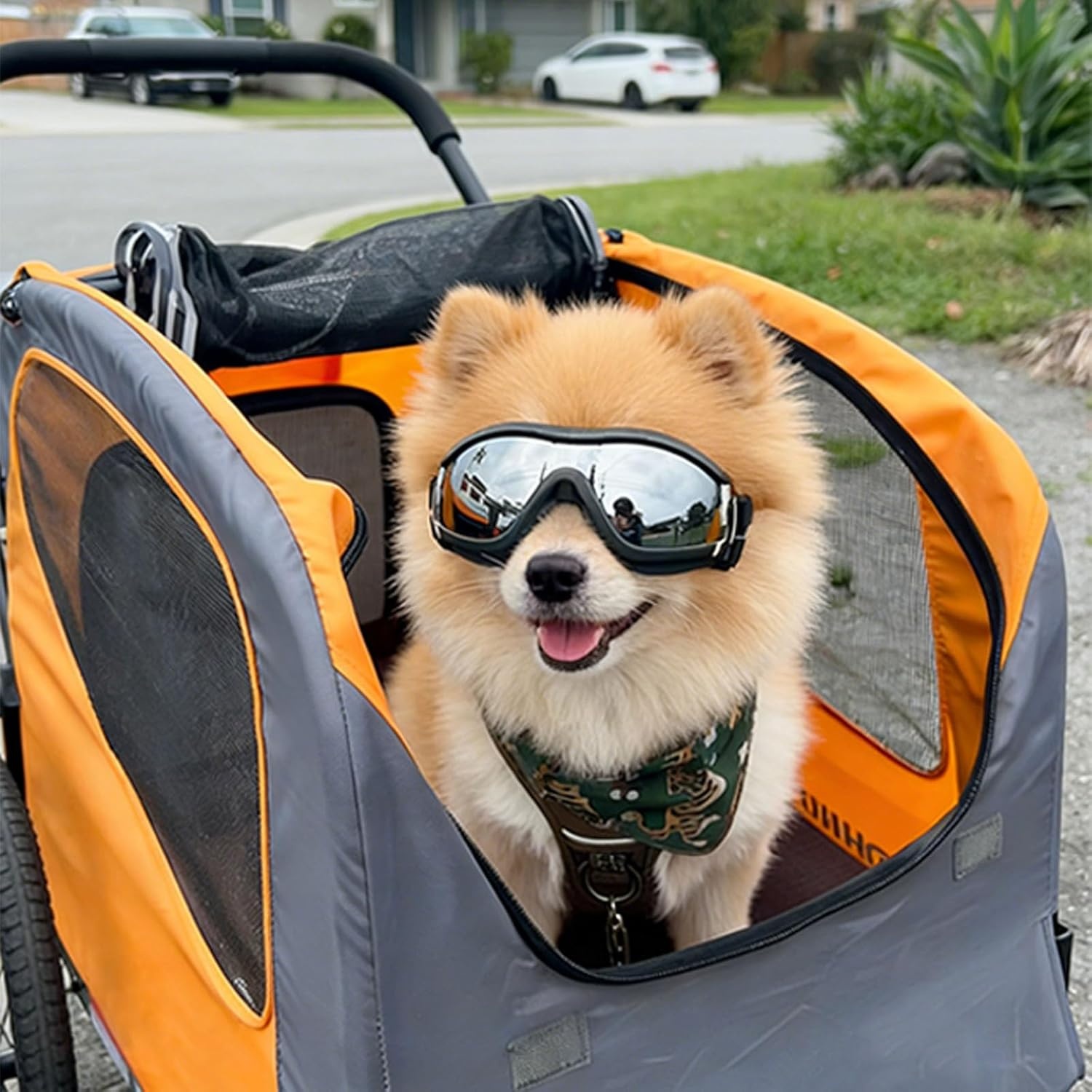 image:imageEnjoying Dog Goggles ExtraSmall to Small Breeds Dog Sunglasses UV Protection Driving Eye Protection for Little Dogs Breathable Windproof Dustproof AntiFog Adjustable Straps Panda WhiteTactical Black