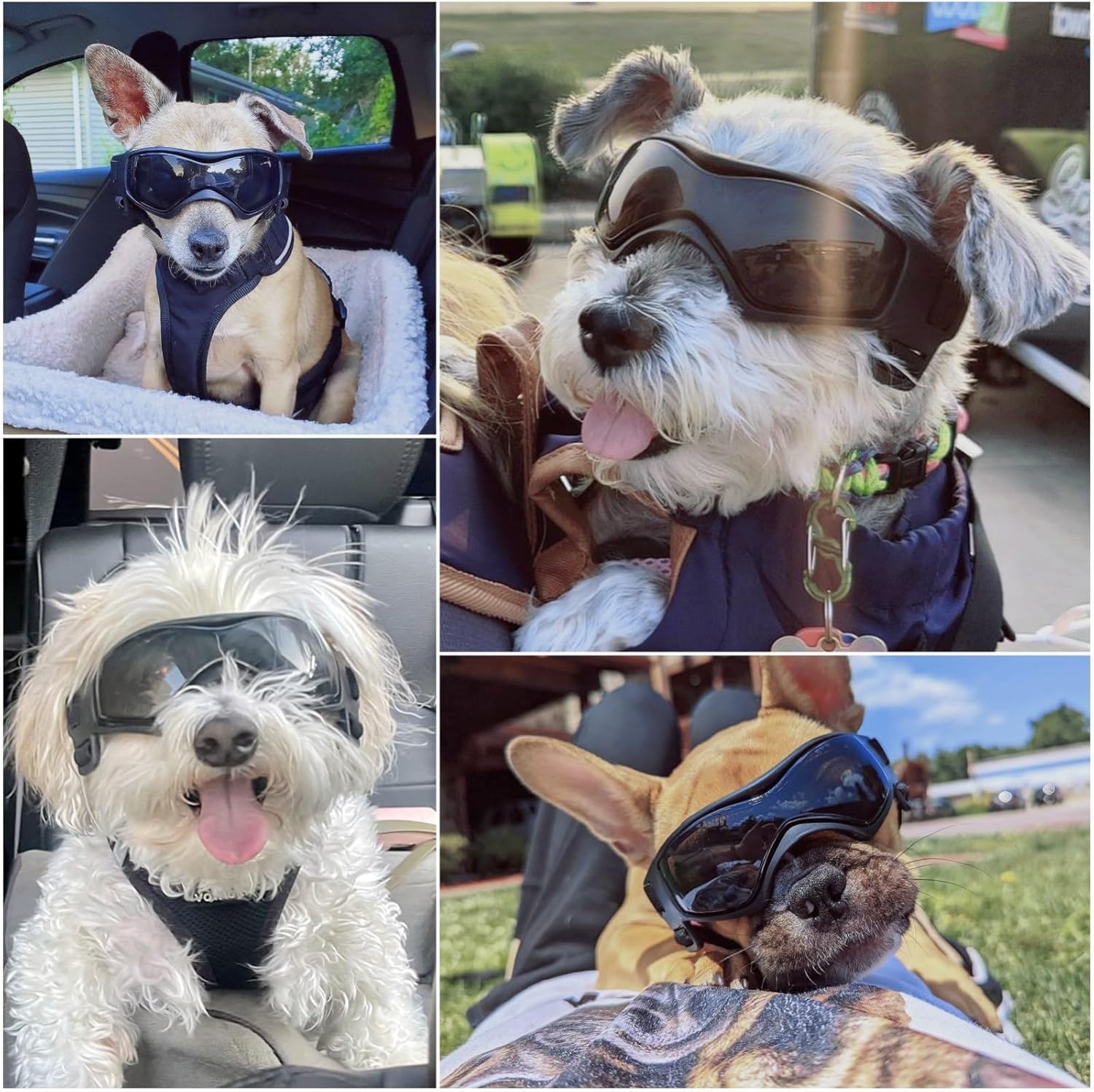 image:imageEnjoying Dog Goggles ExtraSmall to Small Breeds Dog Sunglasses UV Protection Driving Eye Protection for Little Dogs Breathable Windproof Dustproof AntiFog Adjustable Straps Panda WhiteStylish Black