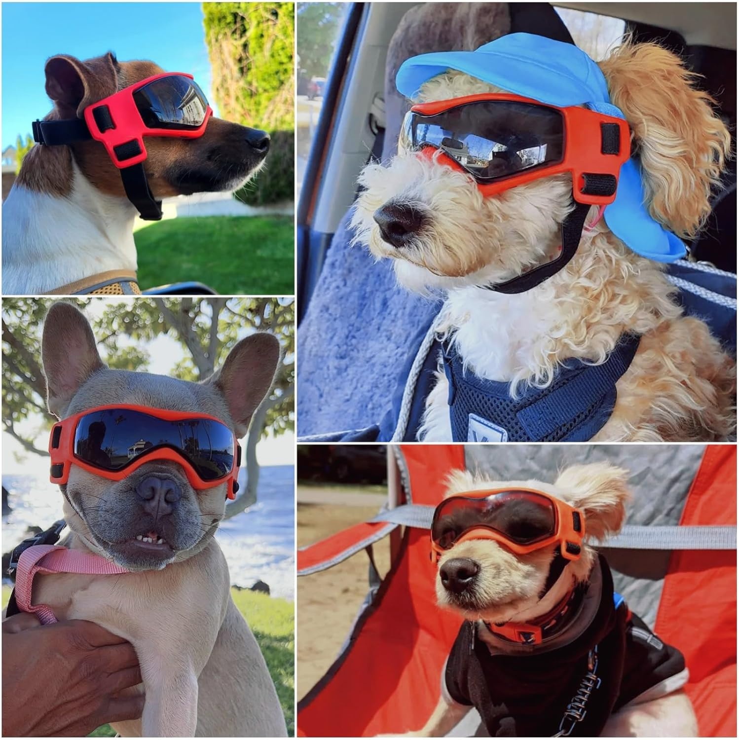 image:imageEnjoying Dog Goggles ExtraSmall to Small Breeds Dog Sunglasses UV Protection Driving Eye Protection for Little Dogs Breathable Windproof Dustproof AntiFog Adjustable Straps Panda WhiteStylish Orange