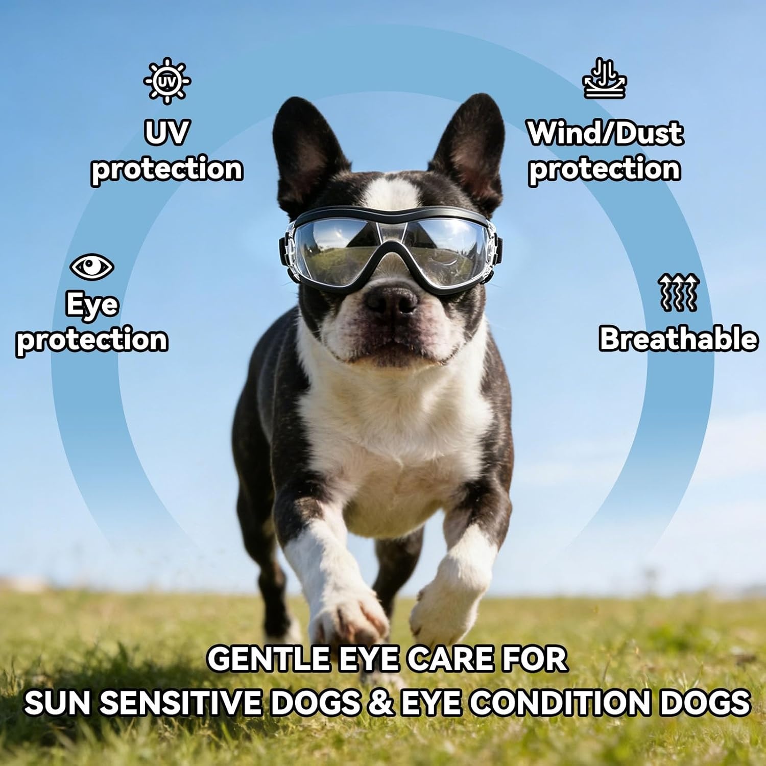 image:imageEnjoying Dog Goggles ExtraSmall to Small Breeds Dog Sunglasses UV Protection Driving Eye Protection for Little Dogs Breathable Windproof Dustproof AntiFog Adjustable Straps Panda WhiteGloss Clear