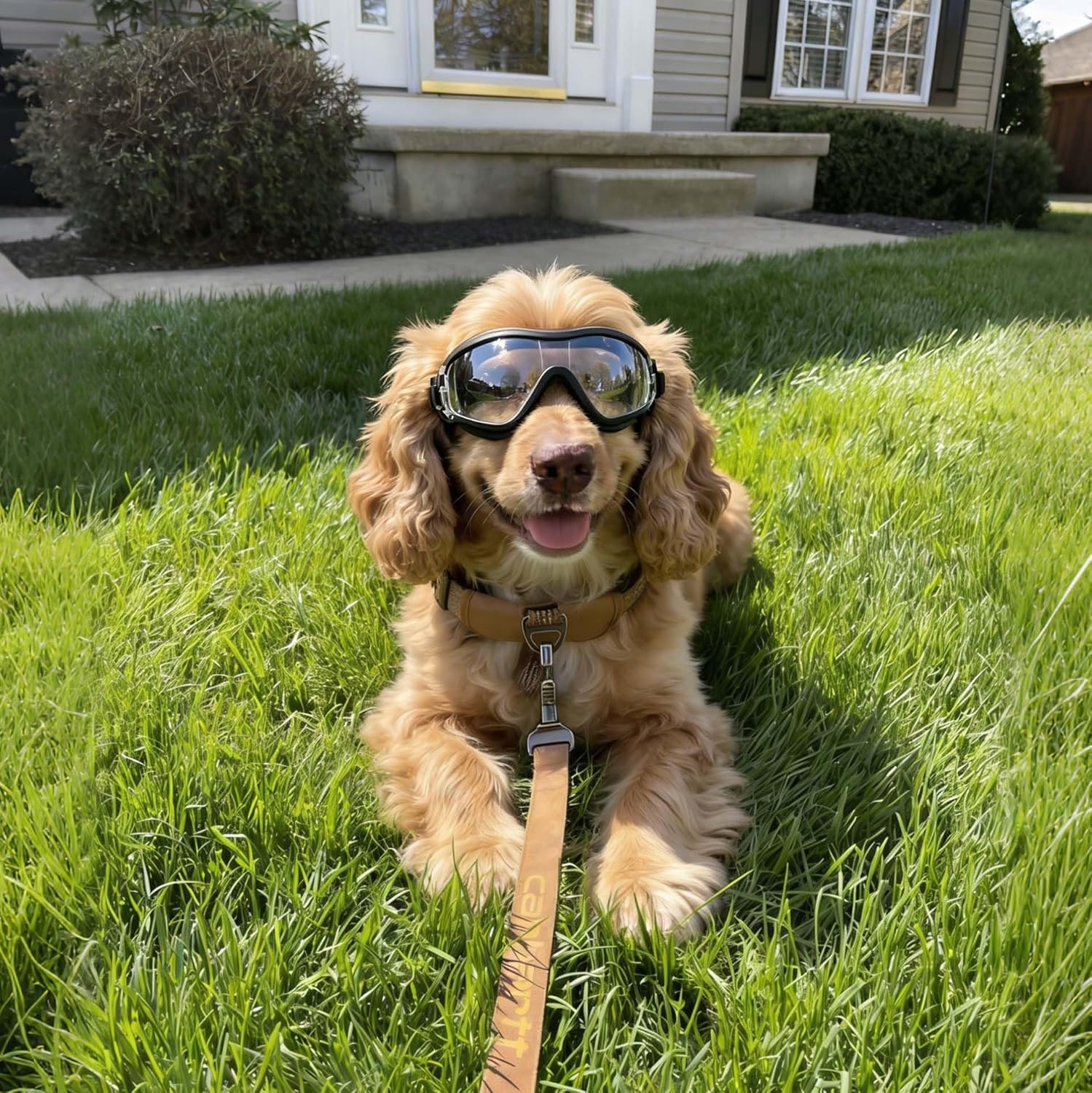 image:imageEnjoying Dog Goggles ExtraSmall to Small Breeds Dog Sunglasses UV Protection Driving Eye Protection for Little Dogs Breathable Windproof Dustproof AntiFog Adjustable Straps Panda WhiteGloss Clear