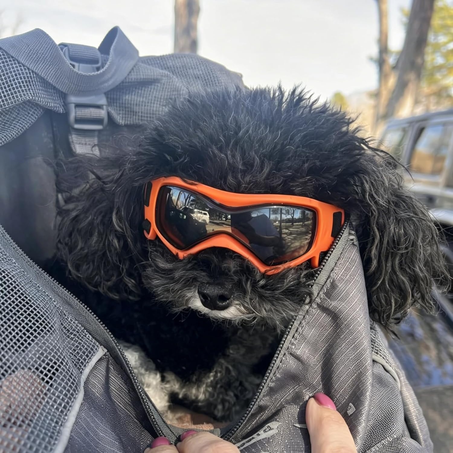 image:imageEnjoying Dog Goggles ExtraSmall to Small Breeds Dog Sunglasses UV Protection Driving Eye Protection for Little Dogs Breathable Windproof Dustproof AntiFog Adjustable Straps Panda WhiteStyle Orange