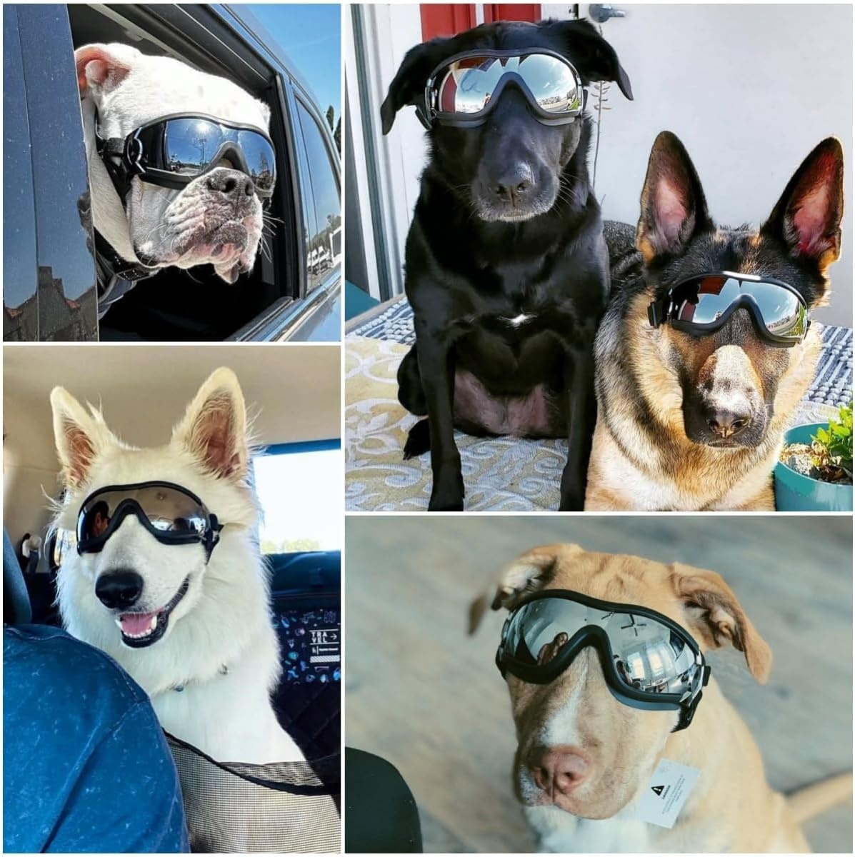 image:imageEnjoying Dog Goggles ExtraSmall to Small Breeds Dog Sunglasses UV Protection Driving Eye Protection for Little Dogs Breathable Windproof Dustproof AntiFog Adjustable Straps Panda WhiteJet Black