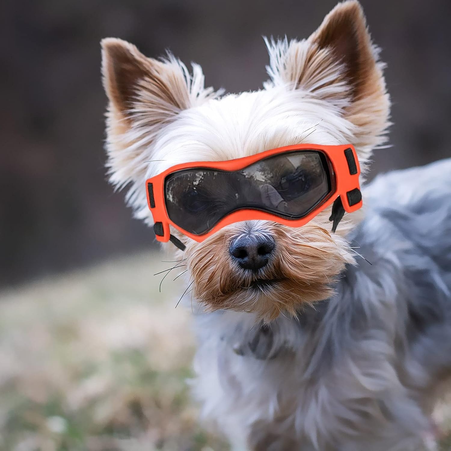 image:imageEnjoying Dog Goggles ExtraSmall to Small Breeds Dog Sunglasses UV Protection Driving Eye Protection for Little Dogs Breathable Windproof Dustproof AntiFog Adjustable Straps Panda WhiteCool Orange