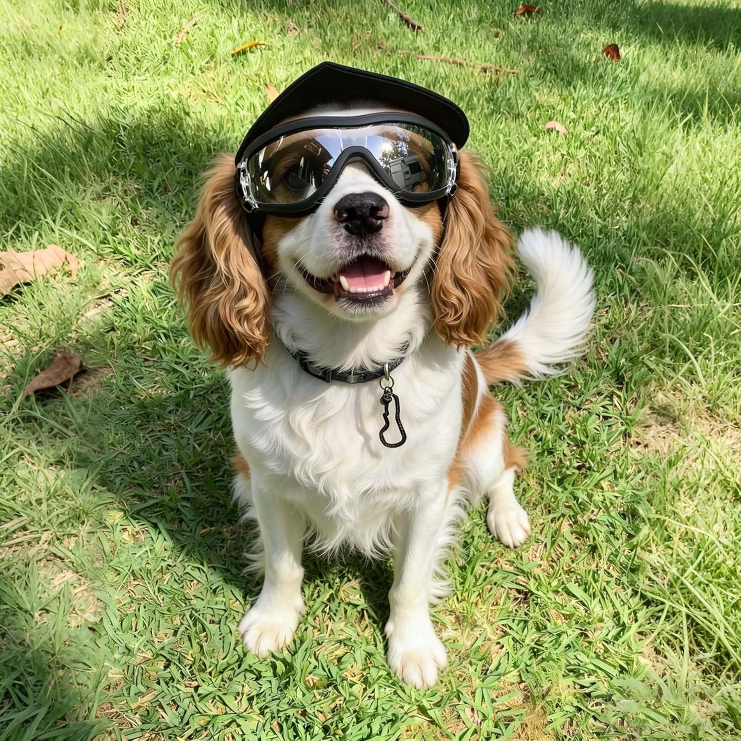 image:imageEnjoying Dog Goggles ExtraSmall to Small Breeds Dog Sunglasses UV Protection Driving Eye Protection for Little Dogs Breathable Windproof Dustproof AntiFog Adjustable Straps Panda WhiteTactical Clear