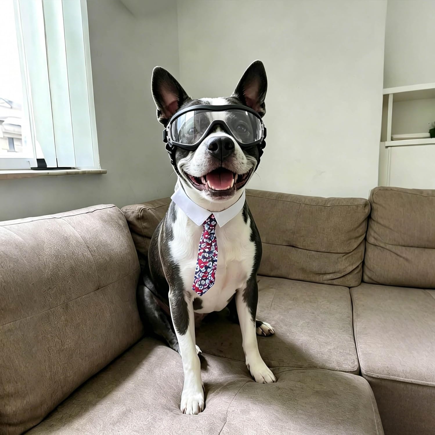 image:imageEnjoying Dog Goggles ExtraSmall to Small Breeds Dog Sunglasses UV Protection Driving Eye Protection for Little Dogs Breathable Windproof Dustproof AntiFog Adjustable Straps Panda WhiteGloss Clear