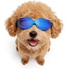 Bright Blue