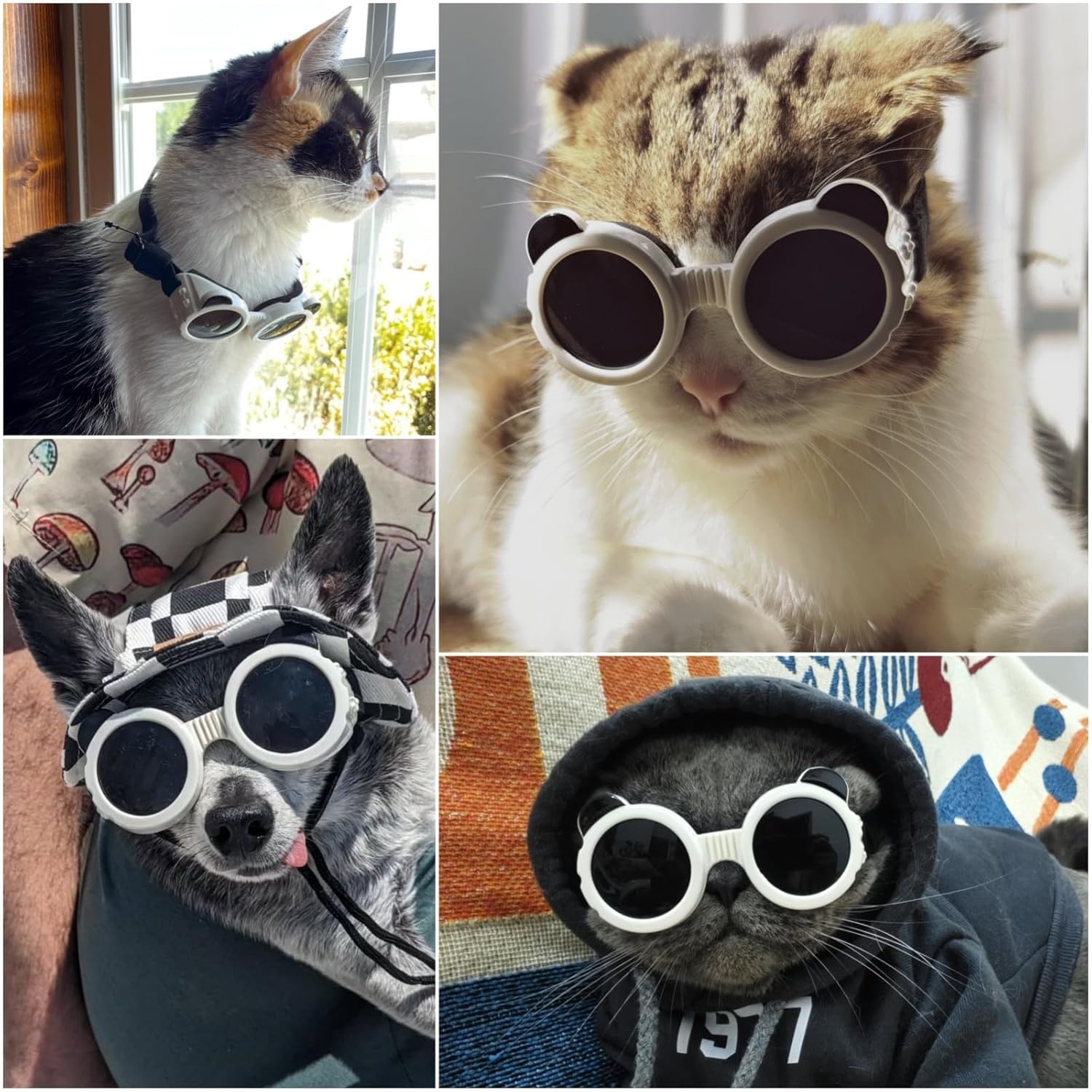 image:imageEnjoying Small Dog Goggles Cat Sunglasses UV Protection Pet Goggles for Cats XS to Small Dogs Outdoor Kitty Puppy Eye Protection Adjustable Straps BlackWhite