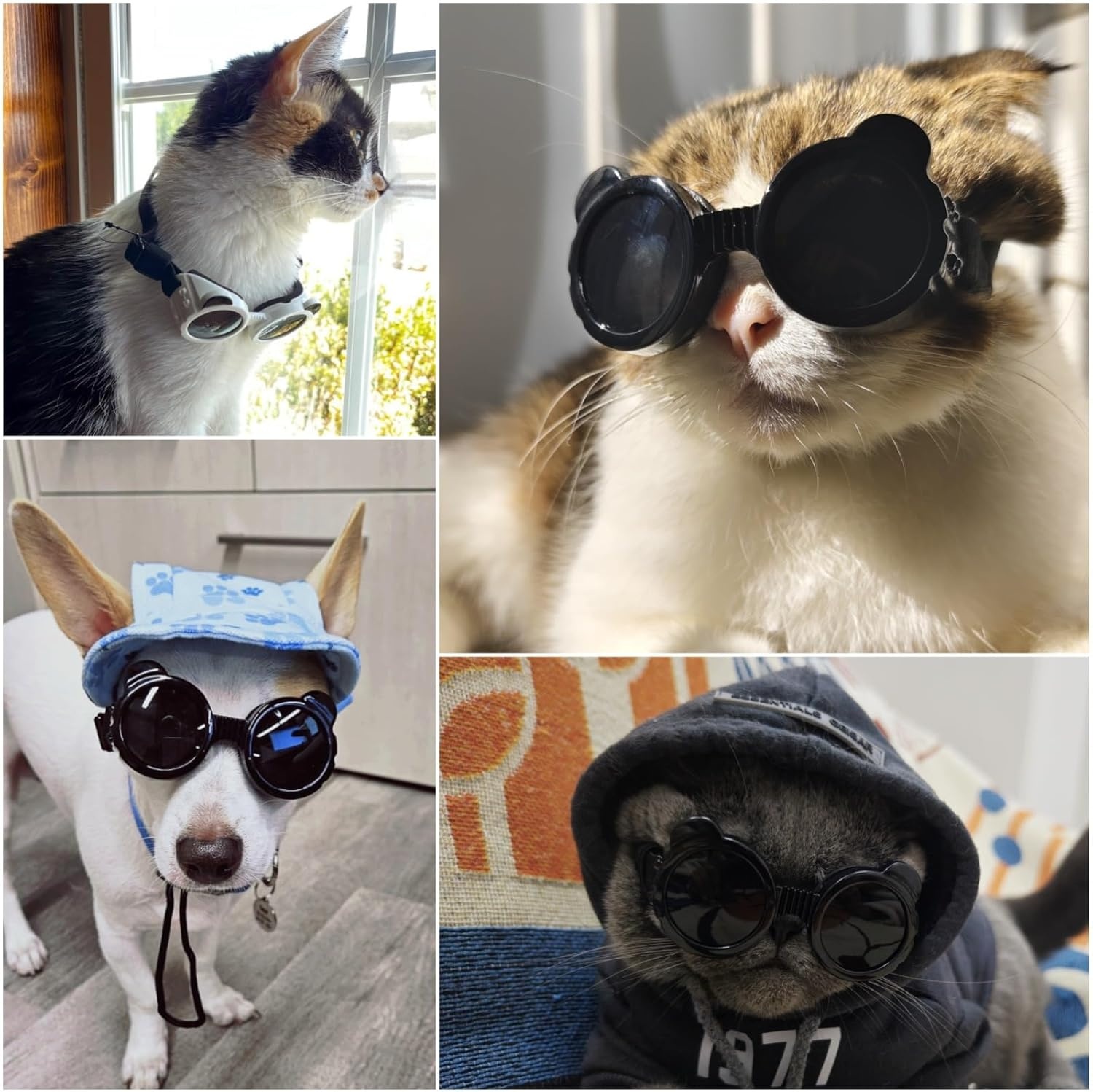 image:imageEnjoying Small Dog Goggles Cat Sunglasses UV Protection Pet Goggles for Cats XS to Small Dogs Outdoor Kitty Puppy Eye Protection Adjustable Straps BlackBlack